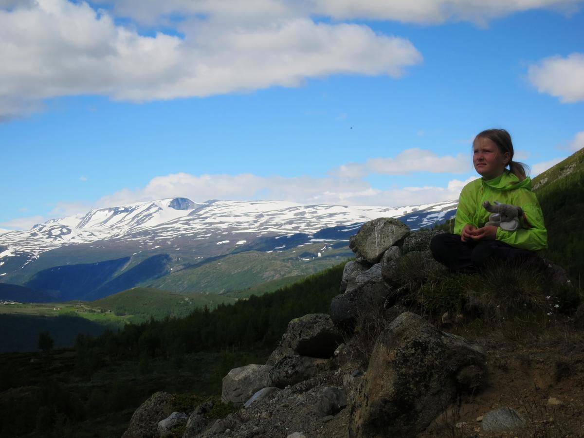Willa Strind Gard, Visdalssetra Boverdalen Zewnętrze zdjęcie