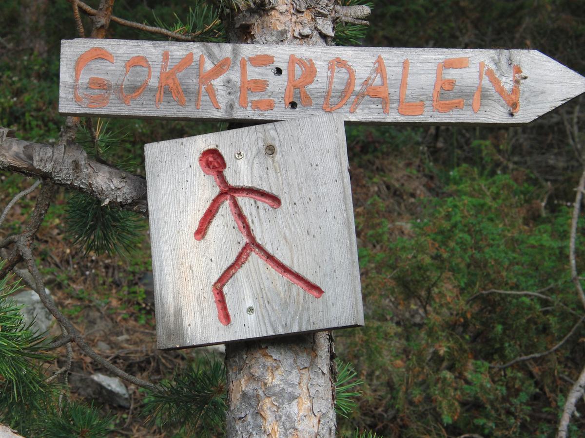 Willa Strind Gard, Visdalssetra Boverdalen Zewnętrze zdjęcie