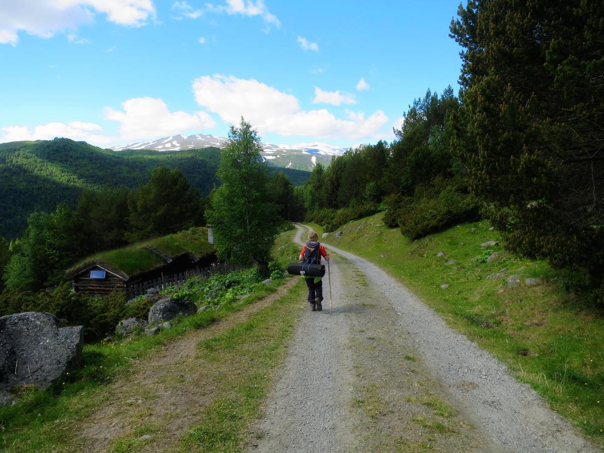 Willa Strind Gard, Visdalssetra Boverdalen Zewnętrze zdjęcie